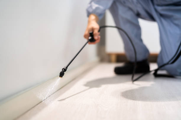 Licensed Cockroach Control service in Seminole County County, OK - Nex Pest Control