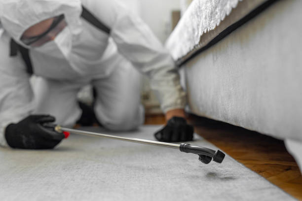 Professional Cockroach Control technician working in Seminole County County, OK